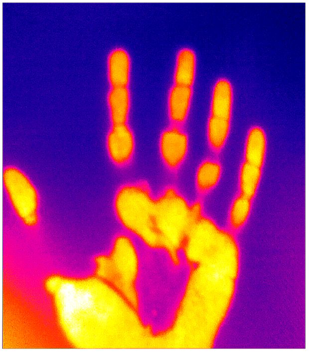 Infrarot-(Wärme-)Bild: Warme Fingerabdrücke auf einer Tischoberfläche, nachdem diese sie mit der Hand berührt wurde. (© Lewin Lab, MDC)