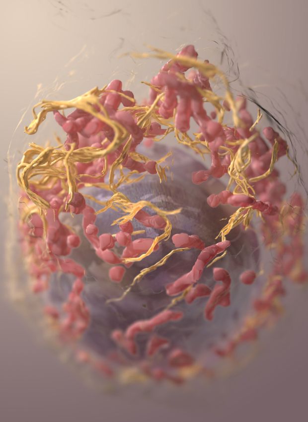 3D-Struktur einer Melanomzelle, gewonnen durch Ionenabrieb-Rasterelektronenmikroskopie. (Foto: Sriram Subramaniam, National Cancer Institute, National Institutes of Health, Lizenz: CC BY-NC 2.0)