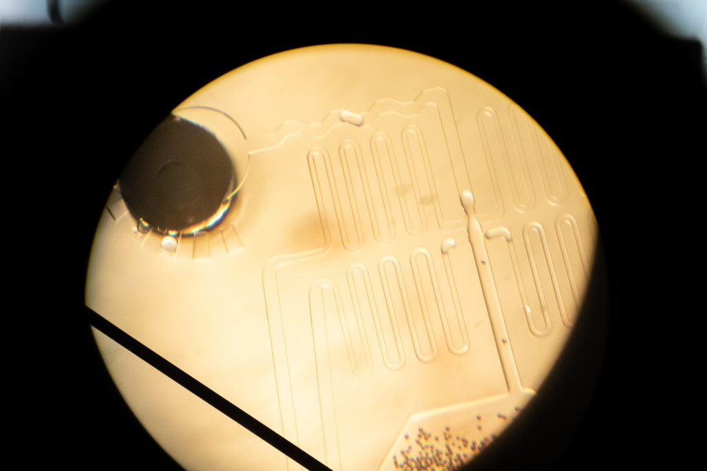 Magnification of miniature chips: Single cells are encapsulated in tiny droplets and supplied with reagents for further processing.  © Felix Petermann, MDC/LifeTime