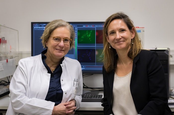 Prof. Dr. med. Simone Spuler (left) and Dr. med. Verena Schöwel-Wolf (Photo: Felix Petermann, Max Delbrück Center)