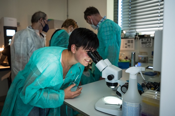 Spannende Einblicke in die Labore zur Langen Nacht der Wissenschafte auf dem Campus Berlin-Buch (Foto: Stefanie Loos)