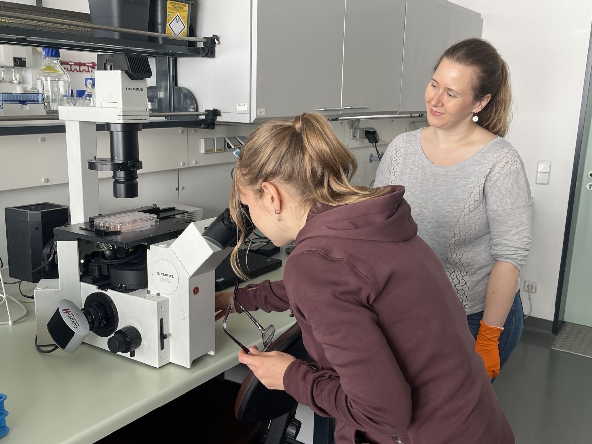 Besuch in den Laboren der Cellphenomics & ASC Oncology. Foto: Melanie Alperstaedt, Cellphenomics/ASC Oncology