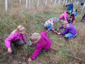 Baumpflege beim Pflanzaktionstag im Herbst 2014 (Foto: Grundschule Am Sandhaus)