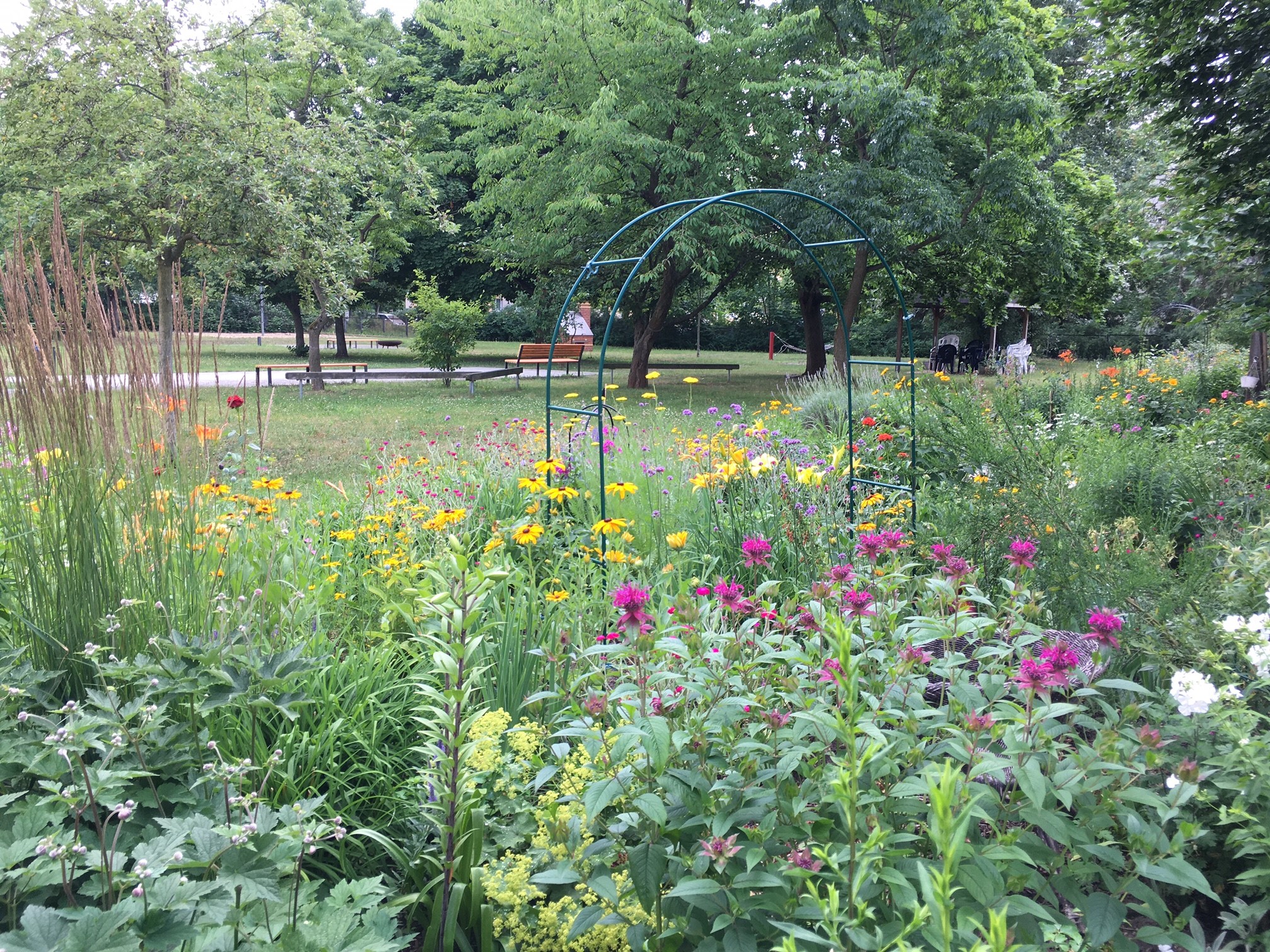 Blick in den Garten des Bucher Bürgerhauses (Foto: Campus Berlin-Buch)