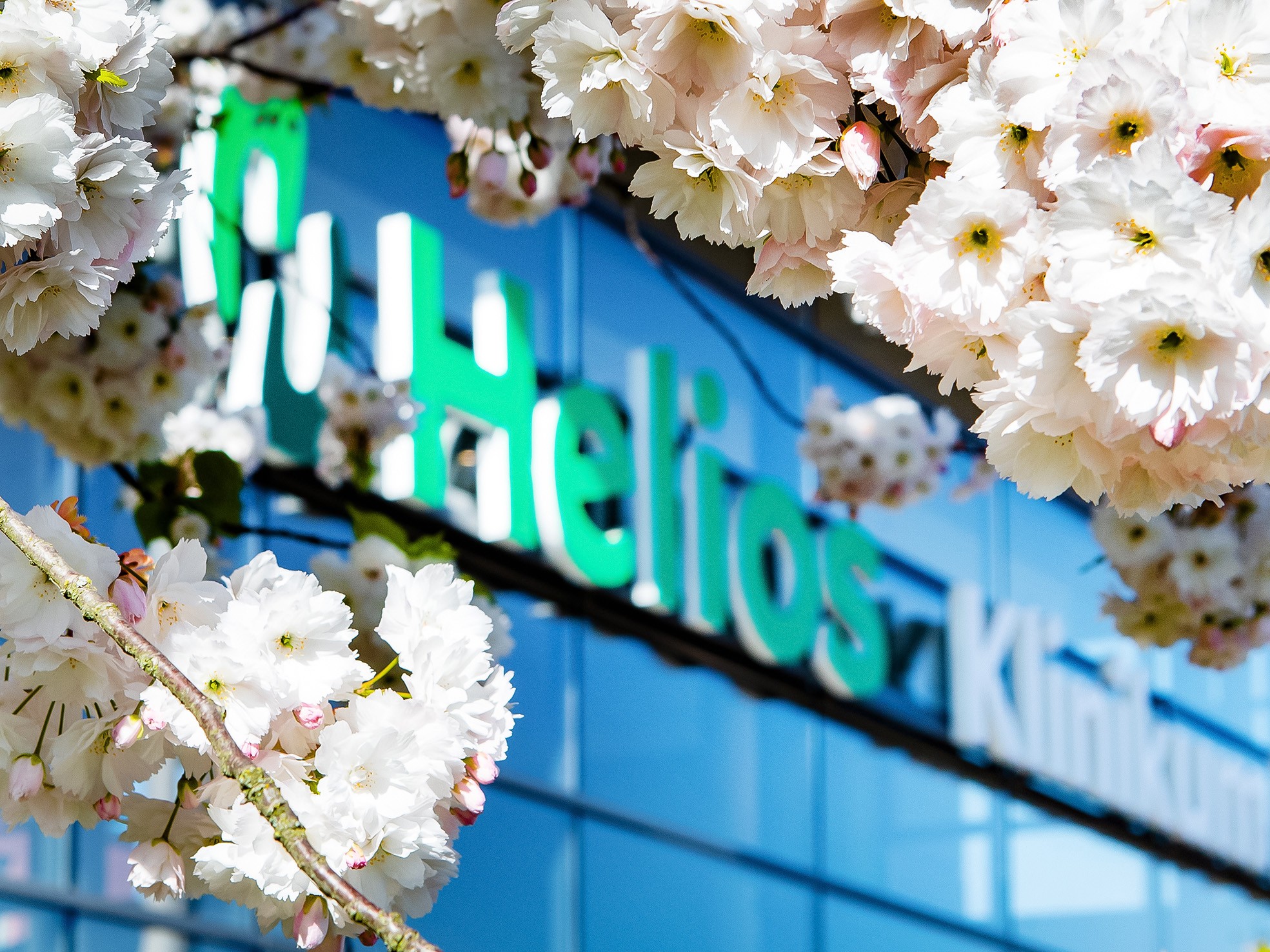 Die Helios Kliniken im Cluster Berlin-Brandenburg liefern medizinische Spitzenergebnisse. (Foto: Thomas Oberländer, Helios Kliniken)
