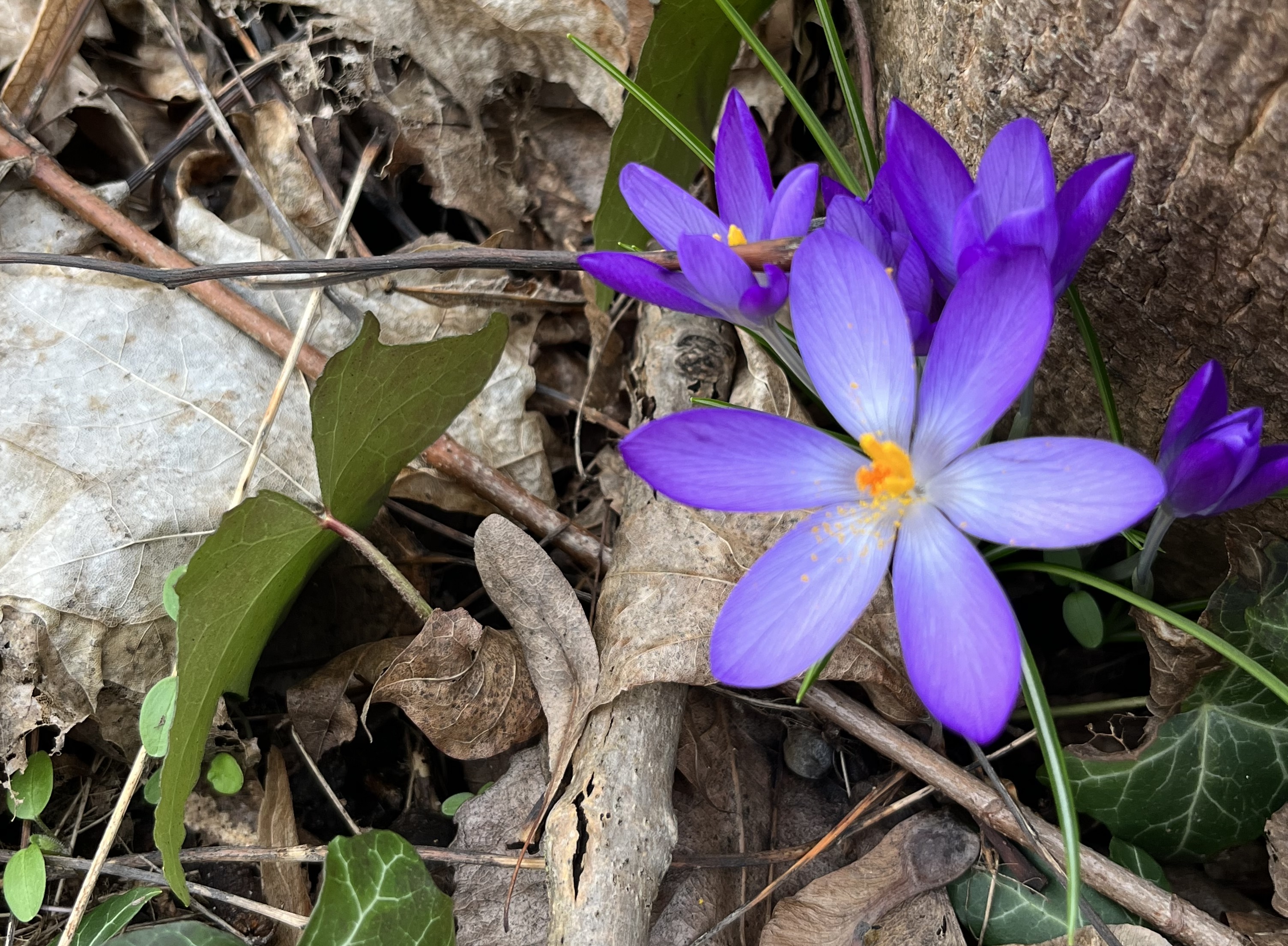 Foto: Campus Berlin-Buch GmbH