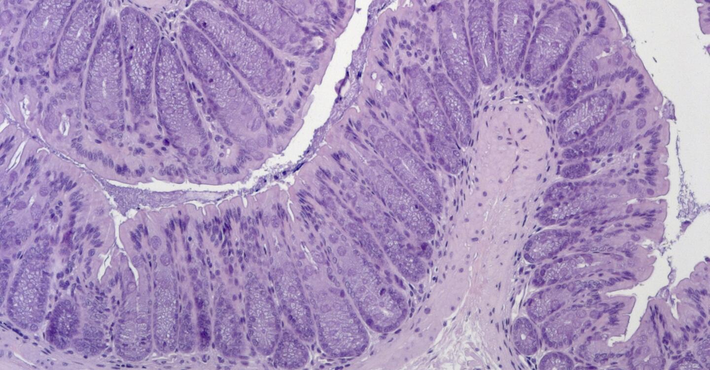 © Anja Kühl, Charité